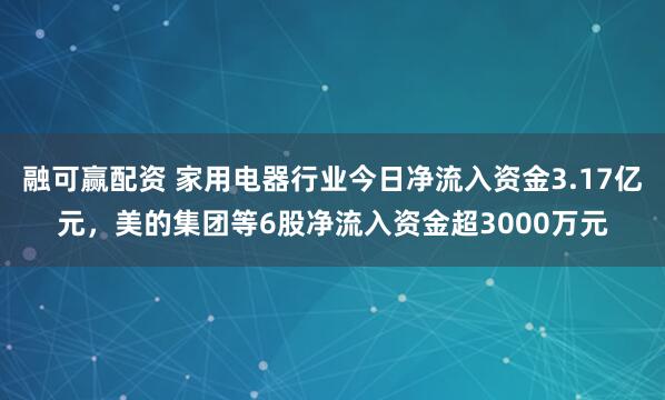 融可赢配资 家用电器行业今日净流入资金3.17亿元，美的集团等6股净流入资金超3000万元
